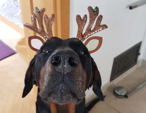 Freaky Styley von Hohenzollern