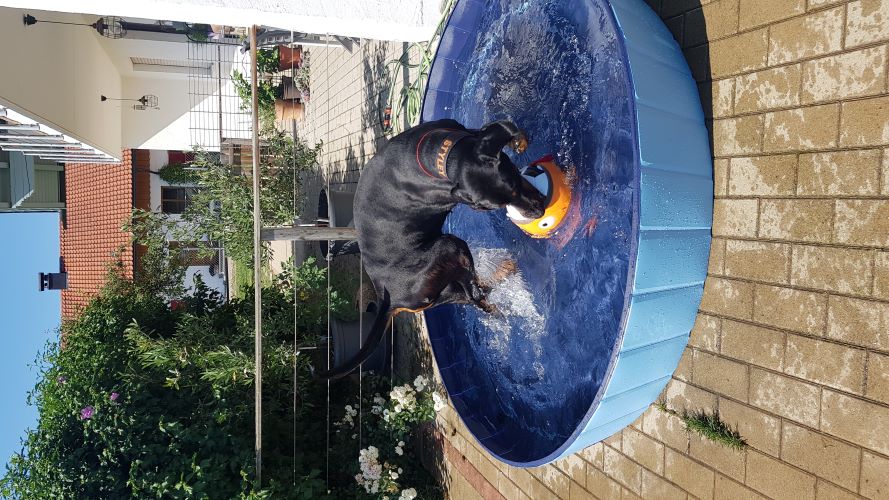 Freaky Styley von Hohenzollern