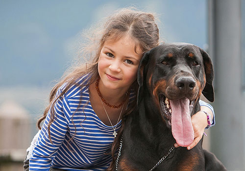 Mit Ella