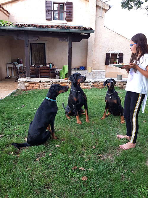 Tahi-réme Jamila, Freaky Styley von Hohenzollern, Jagger vom Illerdamm and Ella