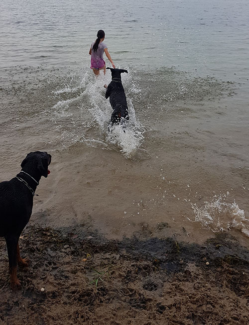 Ella and Freaky Styley von Hohenzollern in the Elbe