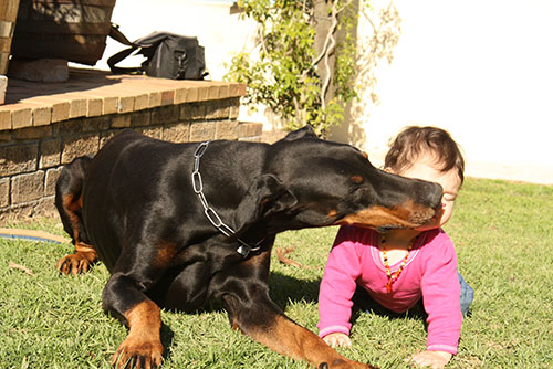 Ella and Actros von Cobra