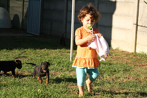 Ella with our L litter