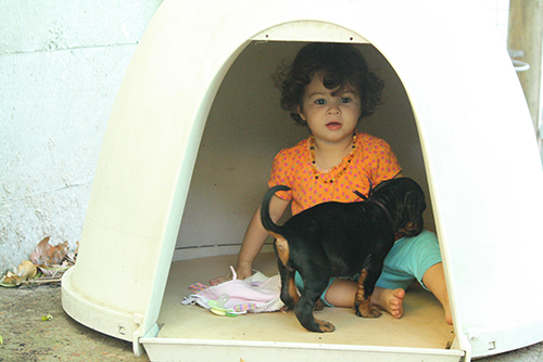 Ella with our L litter