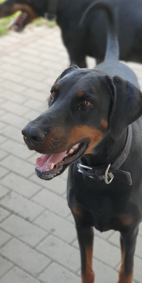Tahi-réme Jamila - 4 years